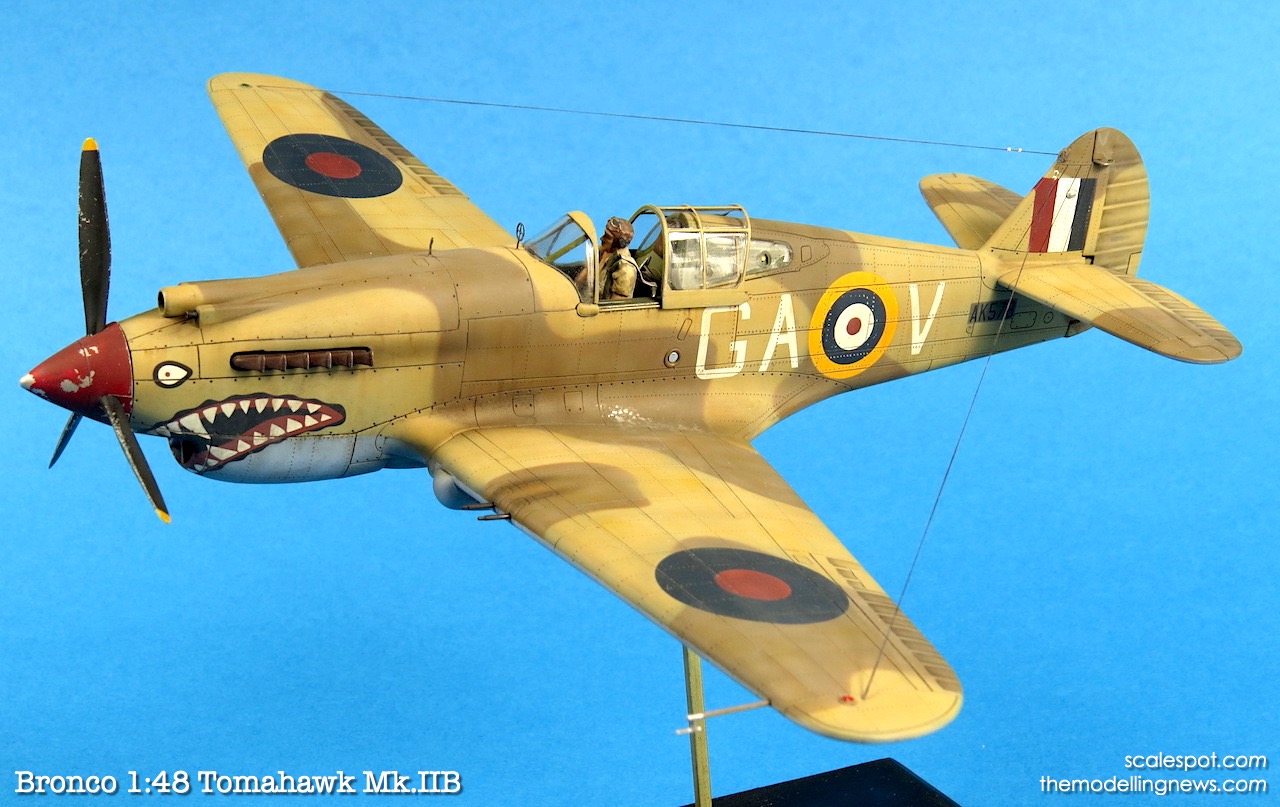 Scale model: aircraft