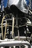 IMG_2600.JPG
